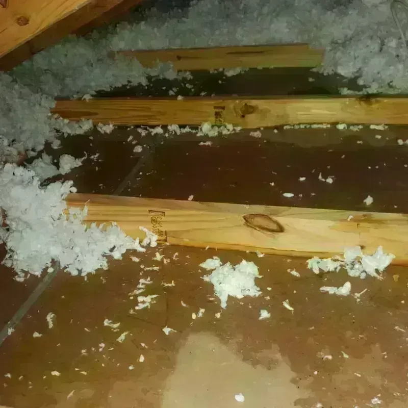 Attic Water Damage in Cypress, TX