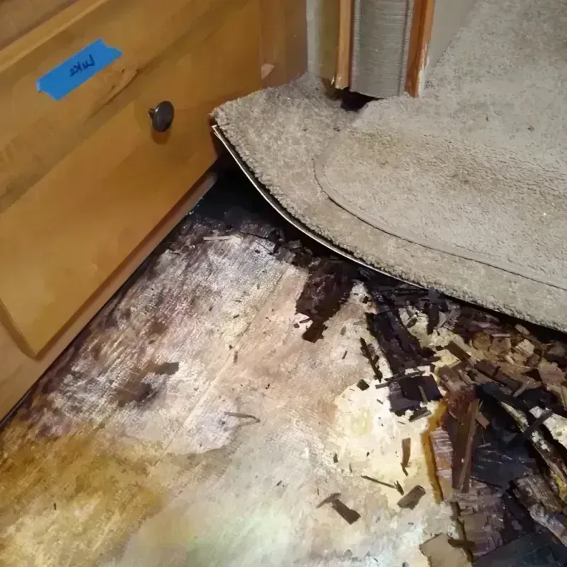 Wood Floor Water Damage in Cypress, TX